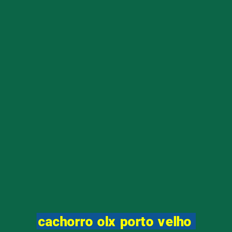 cachorro olx porto velho